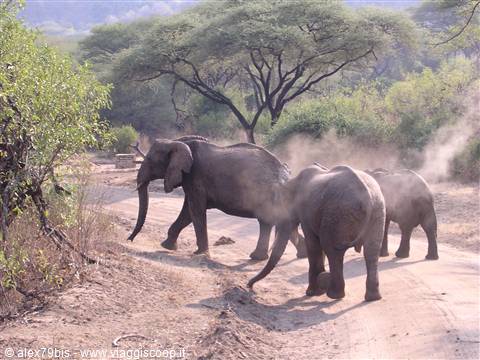 Lake Manyara