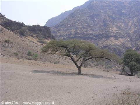 deserto vicino al lago natron