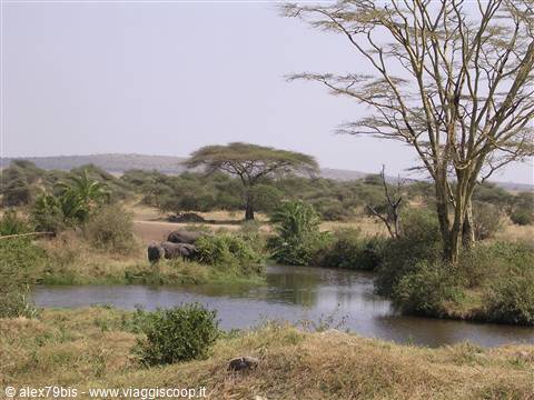 Serengeti