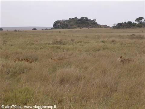 Serengeti