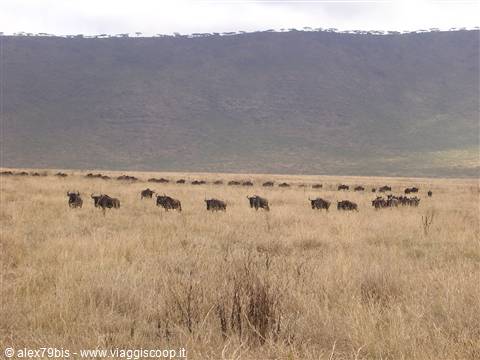 Ngoro-Ngoro