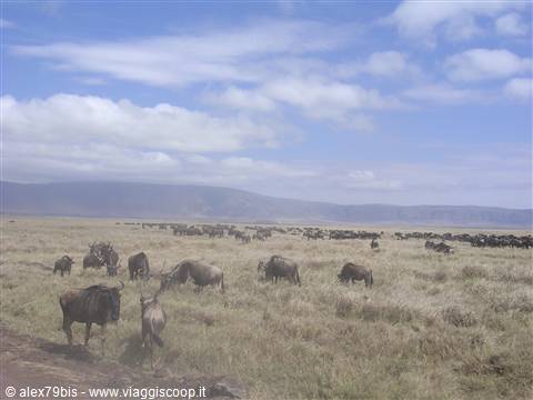Ngoro-Ngoro