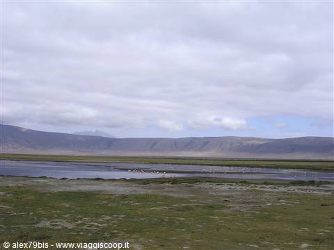 Ngoro-Ngoro