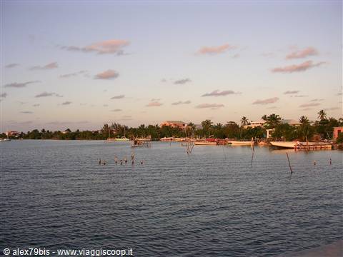 Caye Caulker