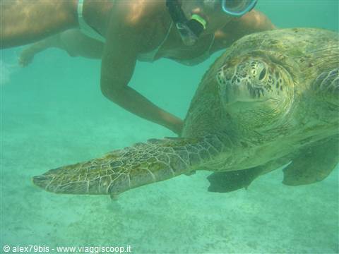 Derawan