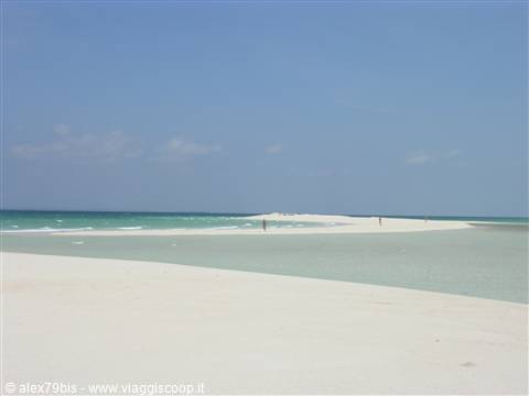 Pasirputi
