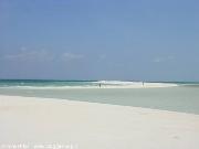 Pasirputi