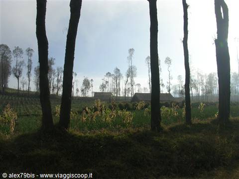 Monte Bromo