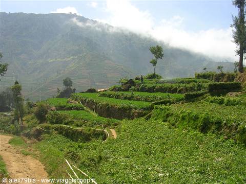 Djeng Plateau
