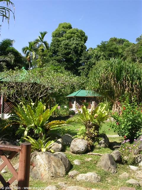 Poring Hot Springs