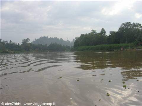 Kinabatangan River