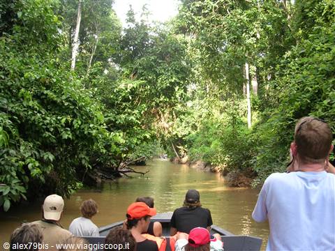 Kinabatangan River