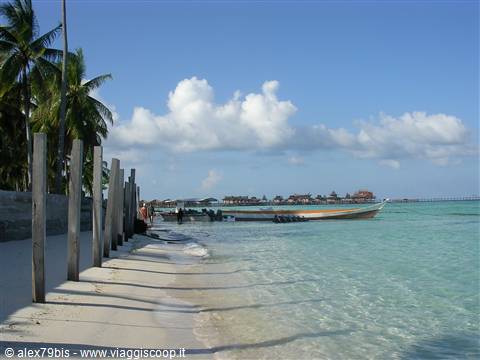 Mabul