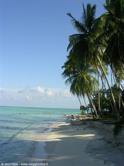 Mabul