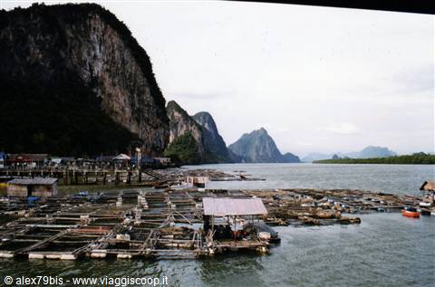 Koh Pangan