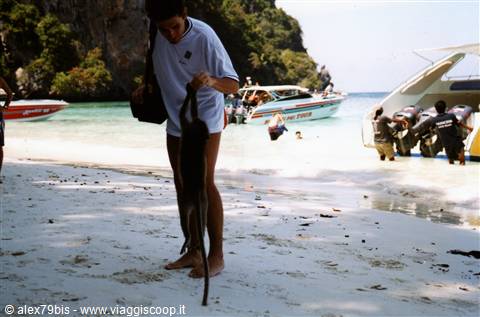 Maya Bay