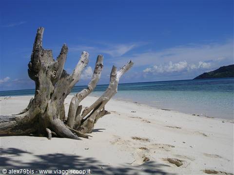 pon-pon island