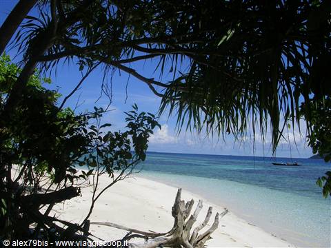 Pon-Pon island