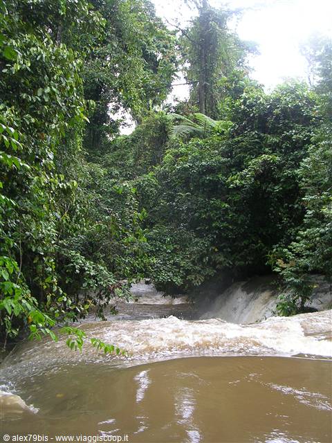 questo tratto d'acqua era sia da guadare che da bere!!