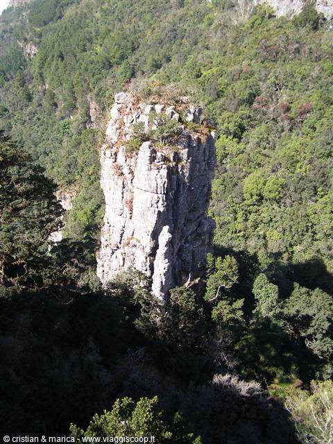 The pinnacle