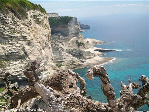 le scogliere di Bonifacio