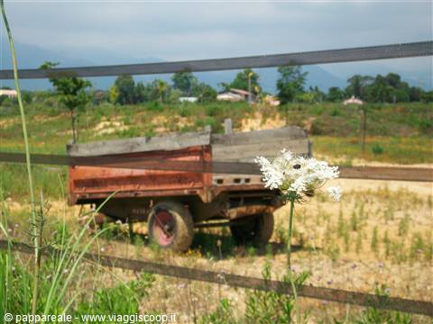 atmosfera country