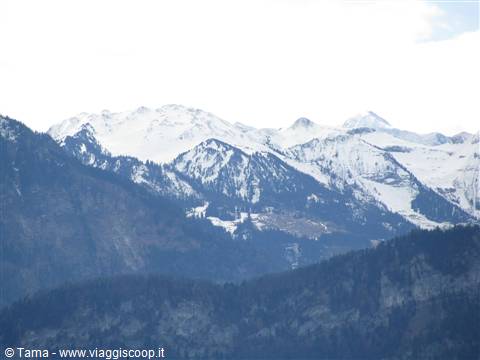 Paesaggio Alpino
