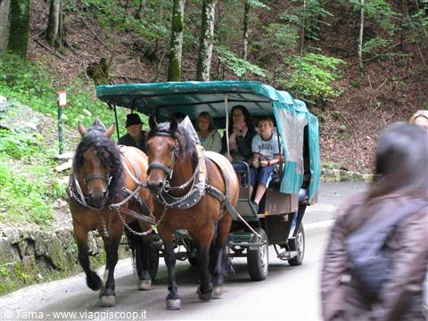 La carrozza che ti porta al castello