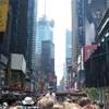 dal bus STATI UNITI D'AMERICA 