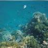 foto viaggio ERITREA
