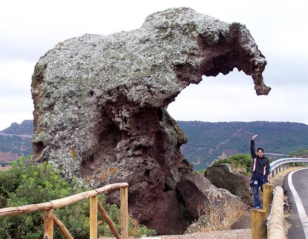 Roccia dell'elefante