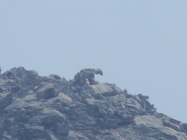 Roccia dell'orso