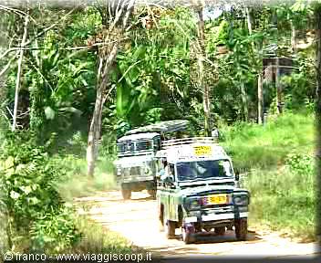 jeep safari