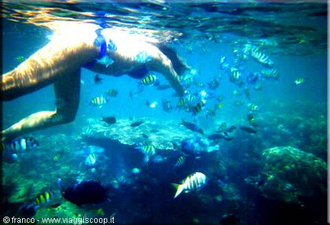 SNORKELING