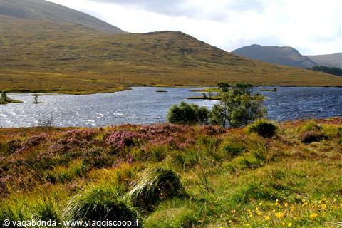 Highlands