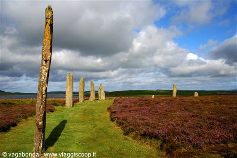 Stenness - Orkney Islands - monoliti
