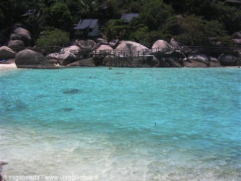 Koh Tao - Acqua bicolore