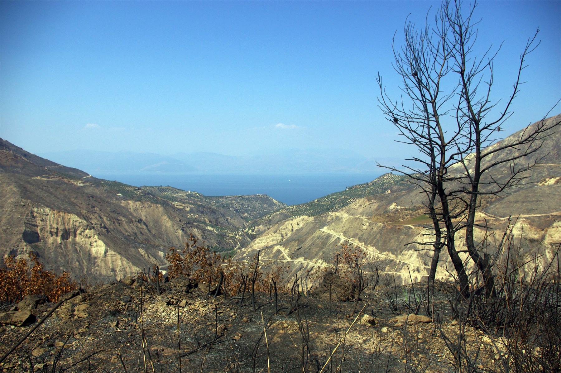 Salendo a Kalavrita, terra bruciata