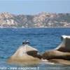 Palau di fronte La Maddalena FRANCIA 