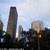 GARDEN ROOFTOP STATI UNITI D'AMERICA 