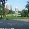CENTRAL PARK STATI UNITI D'AMERICA 