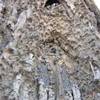 PARTICOLARE DELLA SAGRADA FAMILIA SPAGNA 