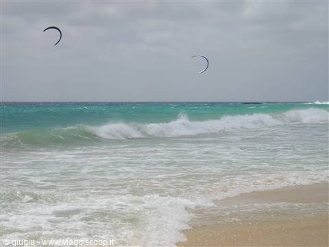 Surfisti all'orizzonte