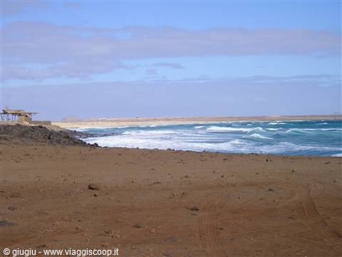 Spiaggia delle tartarughe...dove depositano le uova
