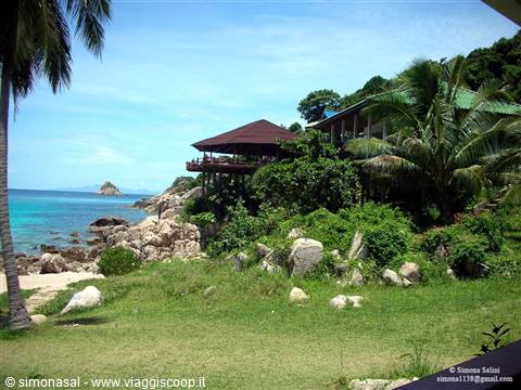 koh tao