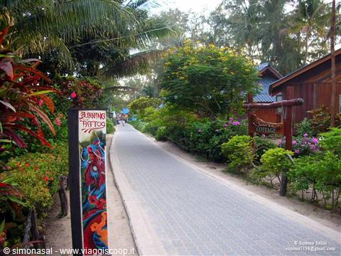 interno koh tao