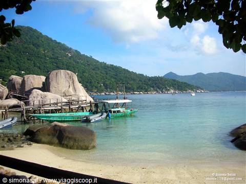 scorcio koh tao