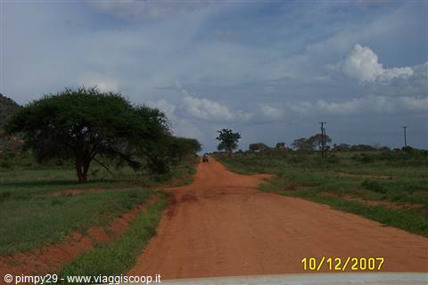 tsavo east