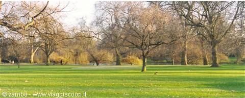 St. James Park