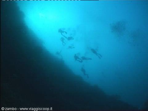 Divers